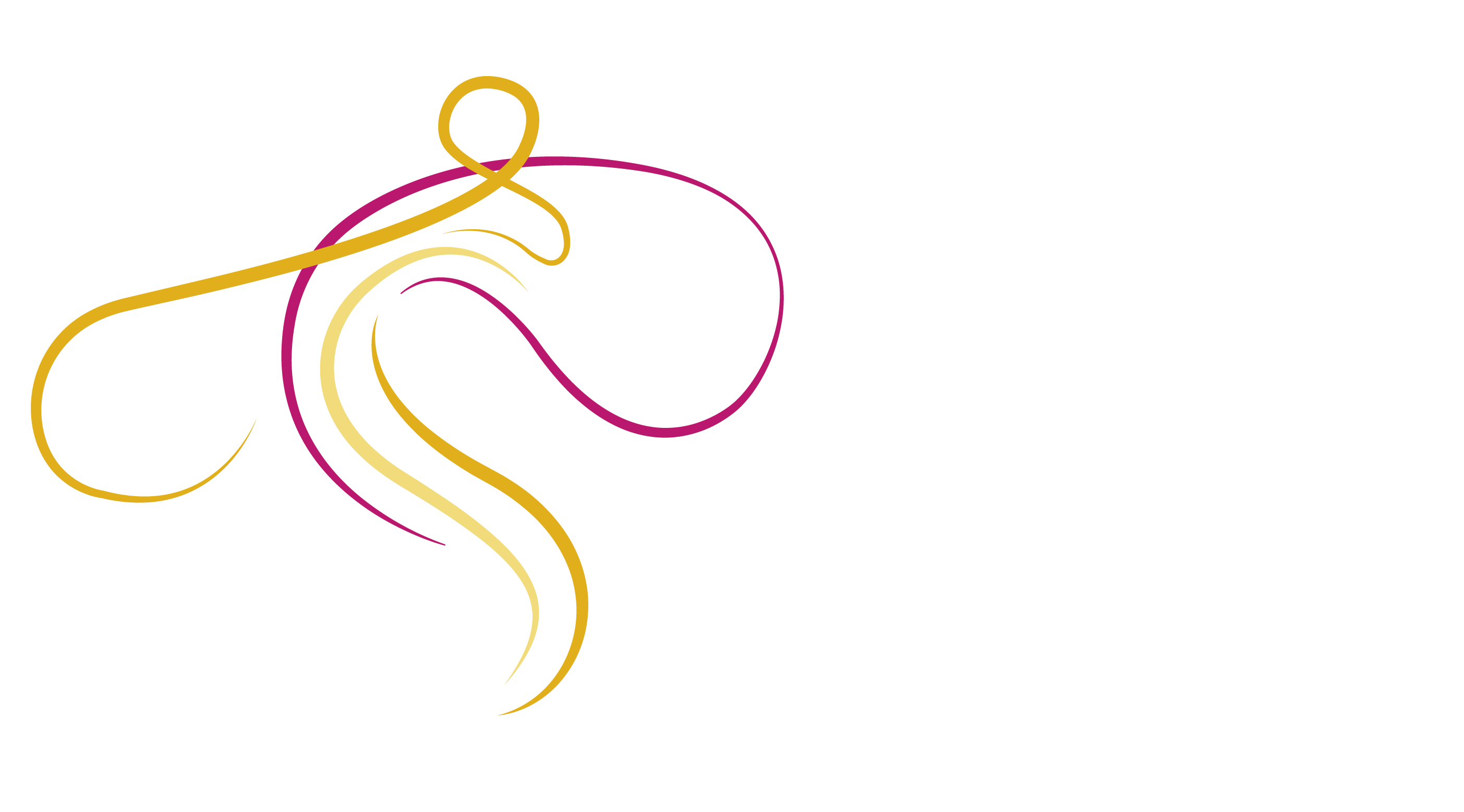 Patronato para la orquesta sinfónica de Yucatán